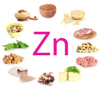 zinc rich foods