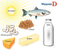 vitamin d rich foods